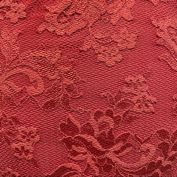 Olvi’s “The Lace Collection” Pretty Cocktail Dress! Size 2 - Picture 4 of 6